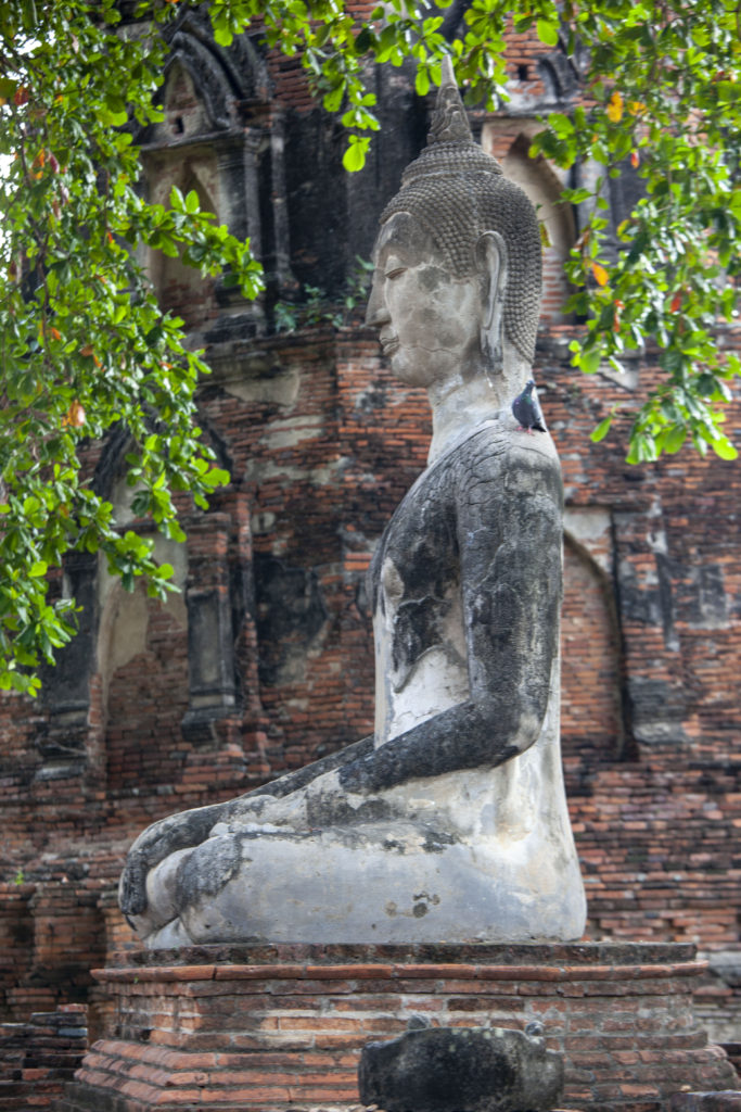 Ayutthaya kamenny budha