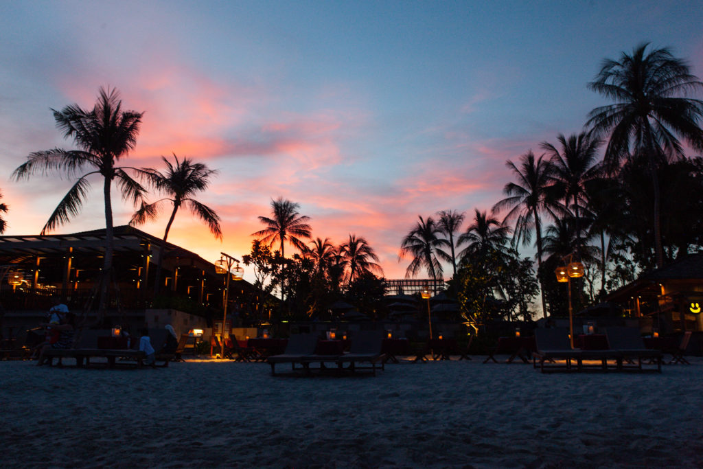 Palmy pri setmeni na plazi Koh Samui